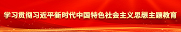 虐插逼操热看学习贯彻习近平新时代中国特色社会主义思想主题教育